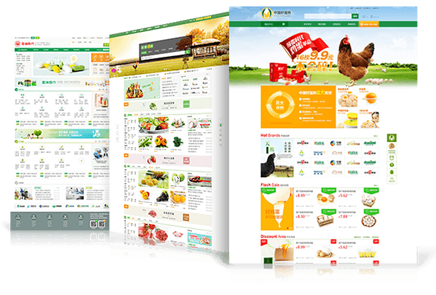 商城(chéng)網站(zhàn)建設