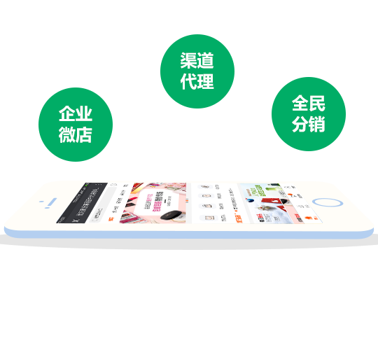 微(wēi)分(fēn)銷定制(zhì)開(kāi)發